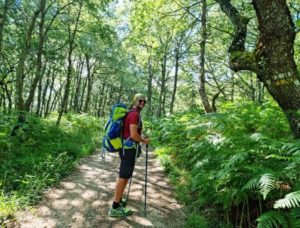 12 Tutte le tappe del mio cammino (con video)